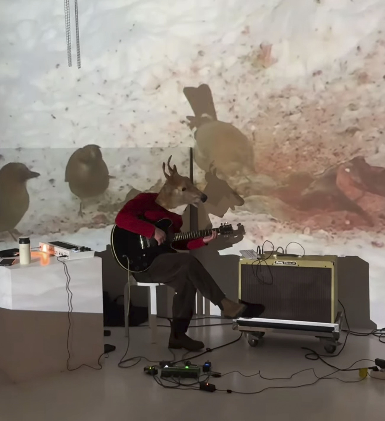 Live Performance & Talk: deer revenge（DANC クリエイティブ融合コアⅠ）